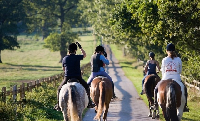  Realizar un recorrido a caballo en el Gran Parque de Windsor 