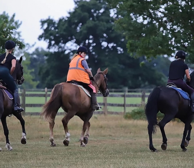 Subir a caballo es súper divertido 