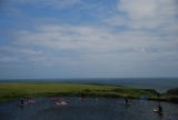 Sesión de SUP de medio día para todos los niveles en St Davids