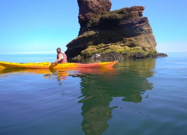 ¿No parece deseable?