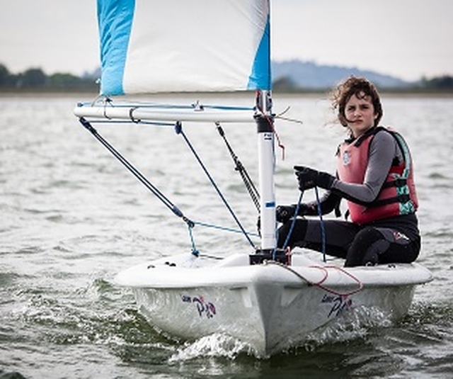 Navegador independiente