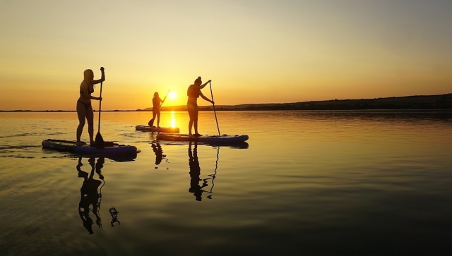 Crucero privado de mareas en SUP en Fremington Quay duranle 2 horas