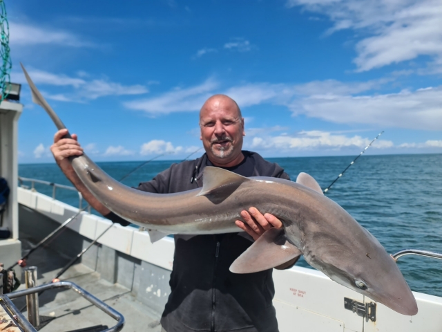  ¡Se capturó un gran cazón!