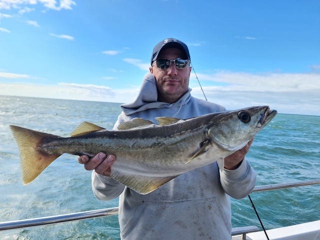 Salida de pesca general en Minehead duranle 8 horas