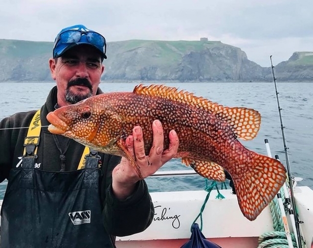  Un pescador feliz con un Ballan Wrasse bellamenle capturado 