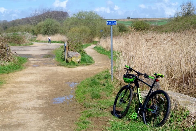  Renta de bicicletas en Dorset