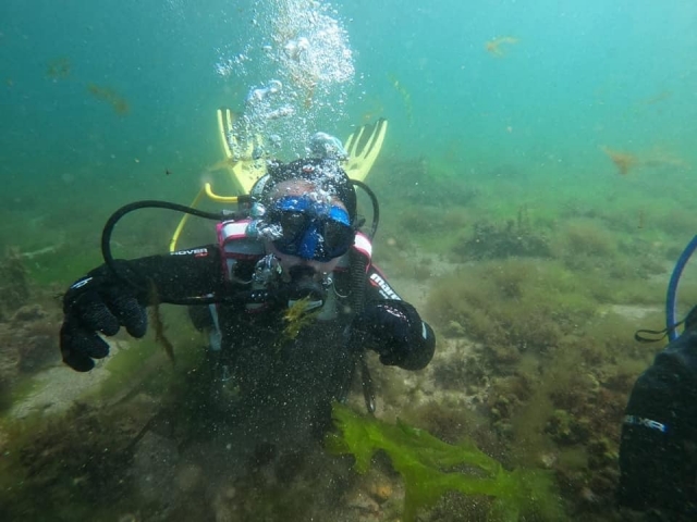  Sumérgele en el agua 