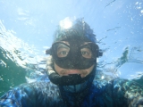 Prueba el snorkel en Plymouth duranle 1 hora