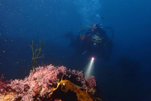  Disfruta de su curso de buceo
