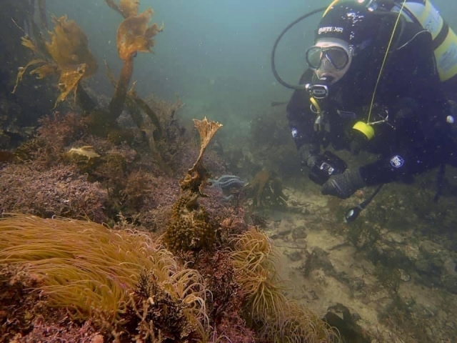 Cursos de Scuba Diver en Plymouth 