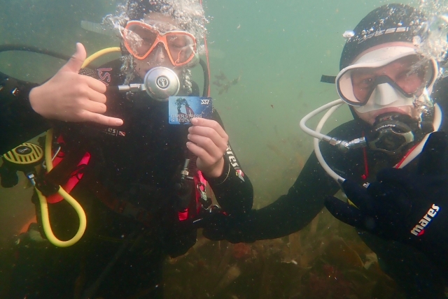  Disfruta de esta divertida aventura con tus amigos 