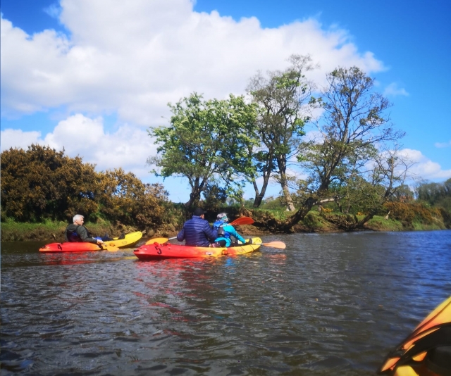 Adquiere habilidades para remar 