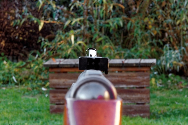  Experimenta una dosis de adrenalina