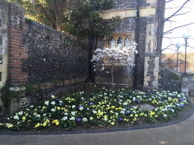  Lugares encantadores 