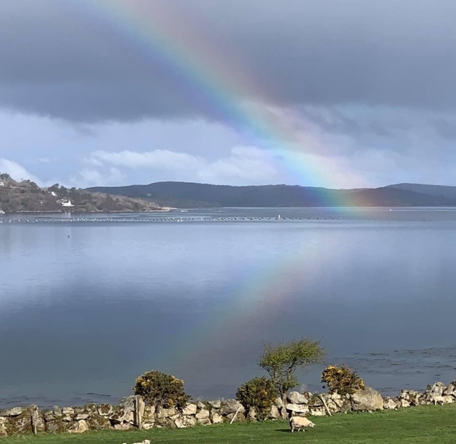  Explorar Irlanda 