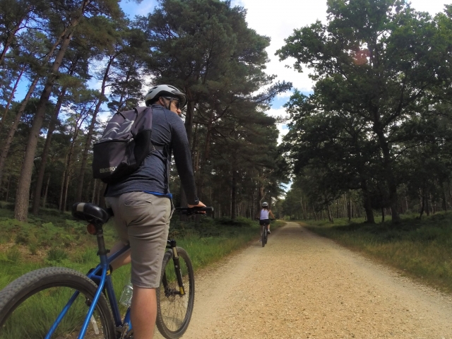  Disfruta con tus amigos y familiares