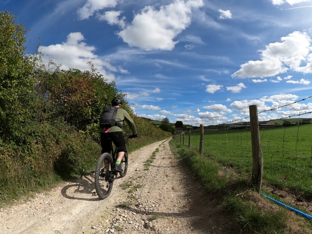  Explorando New Forest 