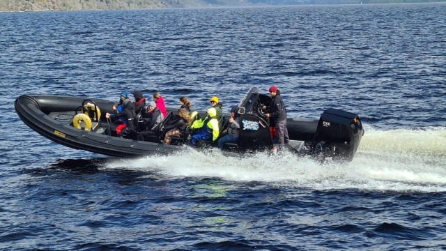 Paseo en barco de 80 min por el lago Ness (16-54 años)