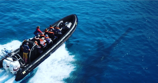  ¿Puede ver a Nessie? 