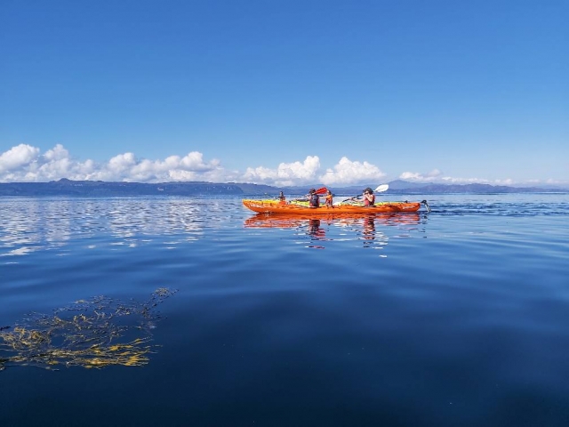  Las experiencias de kayak son únicas
