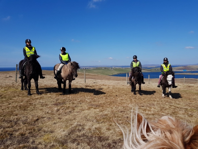  Sé parle de nuestras sesiones de equitación 