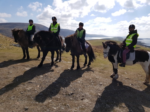  Tenemos los caballos más amigables 