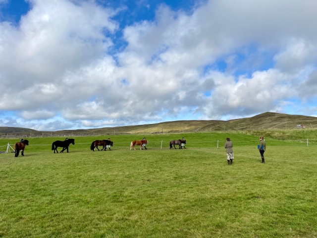  Explorando las zonas más bellas de Escocia 