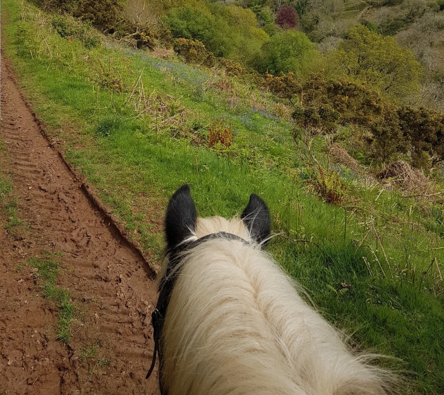  Sesiones de trekking en Devon 