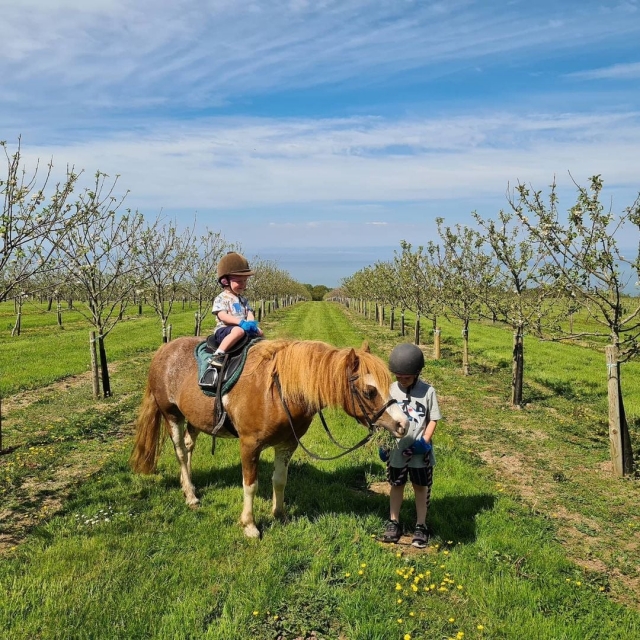  Pbaños en pony en Devon