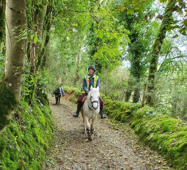 Adentrarse en el bosque 