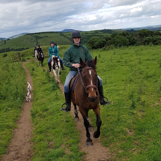  Pbaños a caballo en Irlanda 