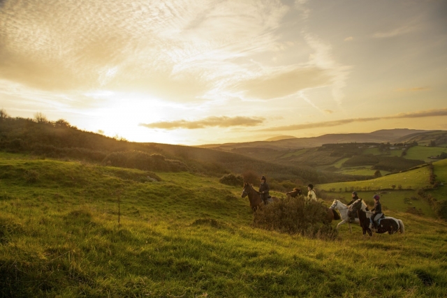  Trekking en Tipperary 