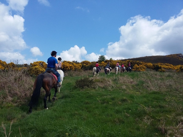 Jinetes experimentados disfrutando de la sesión