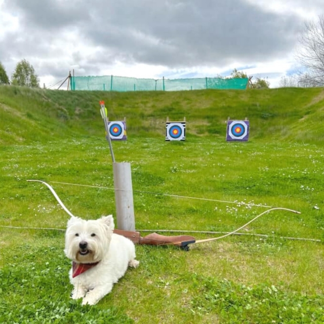 Visitantes amigables 