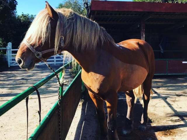 ¡Nuestro guapo Tommie! 