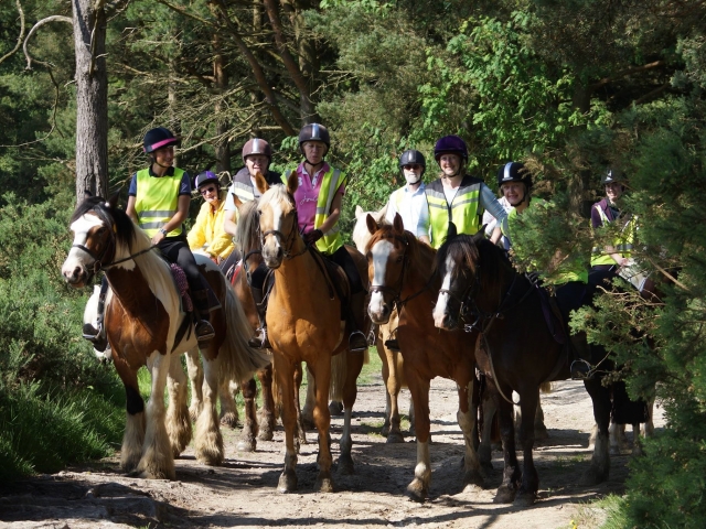 Hackeo de caballos en Ashdown Forest duranle 75 minutos Hackeo de caballos en Ashdown Forest duranle 75 minutos