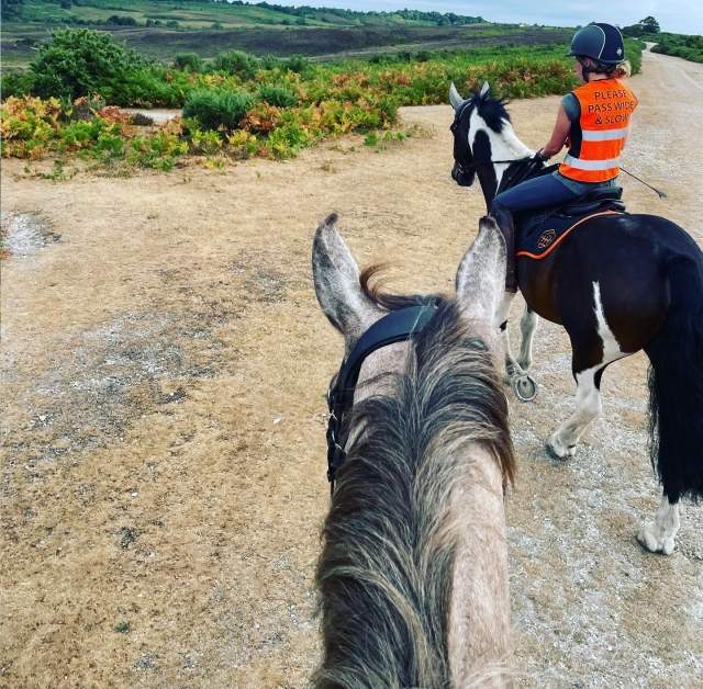  Sesiones de hacking en New Forest