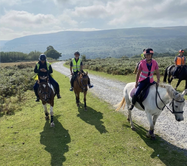  Venga con tus amigos 