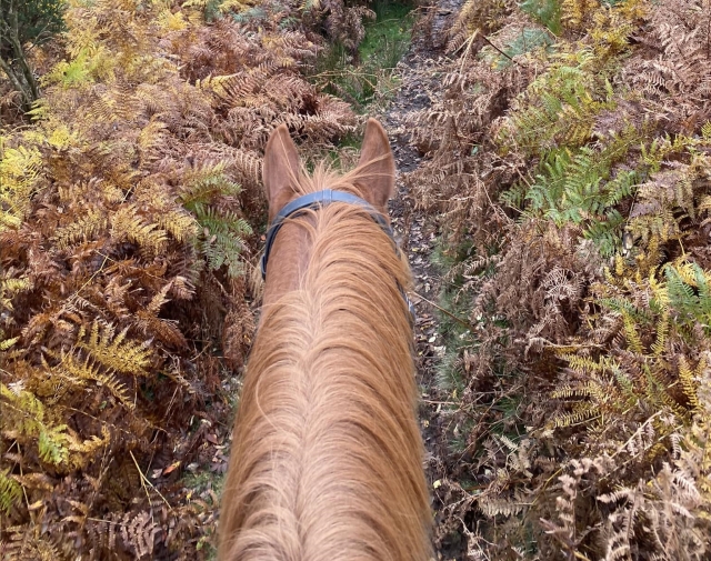  Vistas impresionantes 