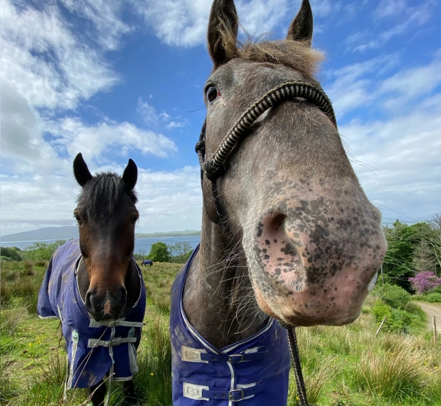 Venga y únele a nosotros ahora