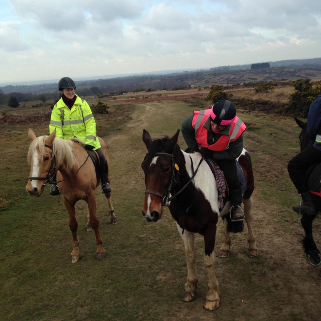  Hackear en Ashdown Forest 