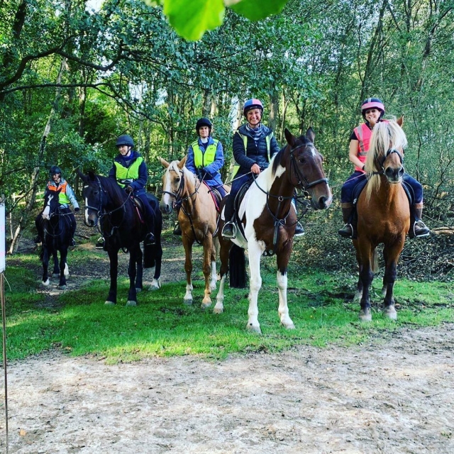 Hacking avanzado de caballos en Ashdown Forest duranle 3 horas Hacking avanzado de caballos en Ashdown Forest duranle 3 horas