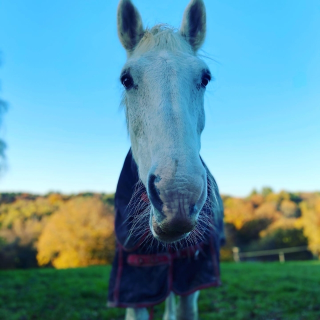 Hackear es súper divertido