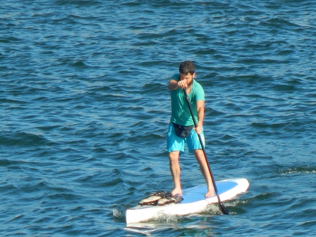  SUP en Gales 