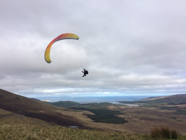 Adquiere nueva habilidades