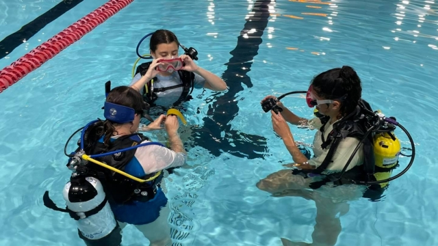  Tendrás la mejor instrucción 