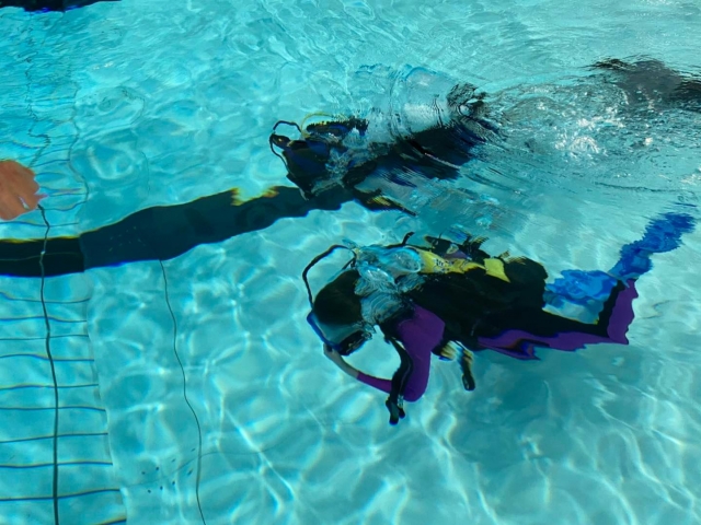  Aprender habilidades de buceo 