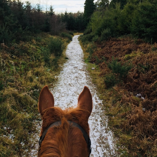  Montañas Wicklow
