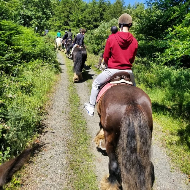 Disfruta de pbaños a caballo 