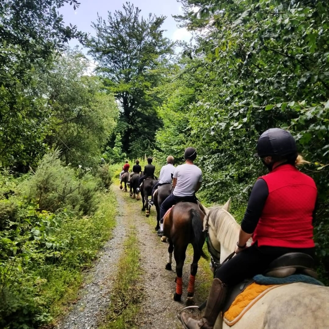  Caminamarras por el bosque 